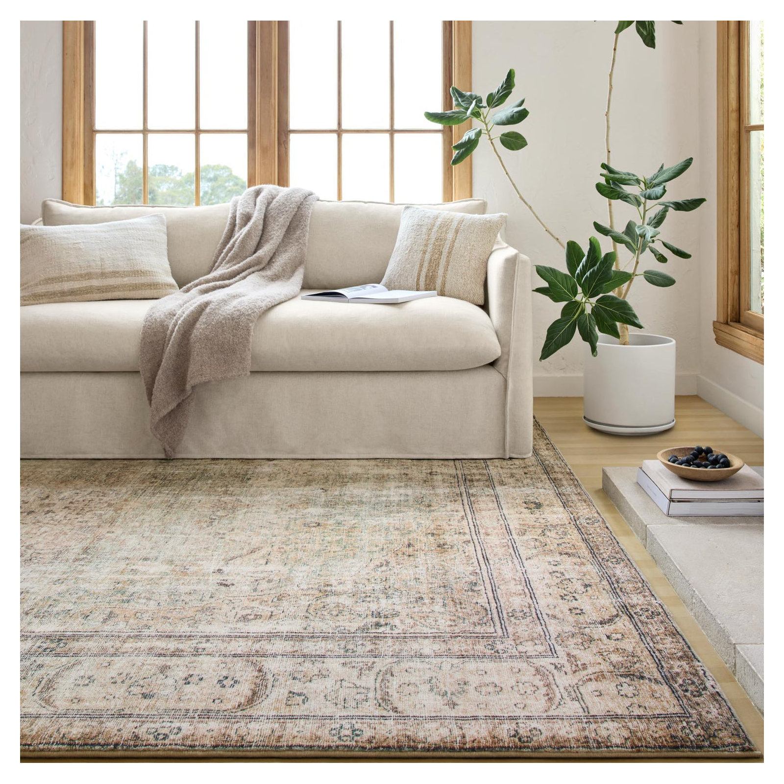 Loloi Margot Antique/Sage Area Rug feat. CloudPile, Rectangle 3'6" x 5'6"