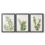 Botanical Wash I - Impression personnalisée de qualité supérieure avec cadre - 3 pièces-433050017-433050016