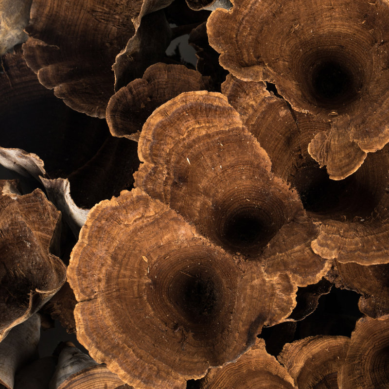 Vickerman 3-10" Natural Calice Multipiece Specimens, approximately 100 multi piece units, Dried