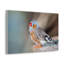 No Frame Print on Canvas-1499128614