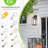 LED Wall Light