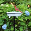Bain d'oiseaux Brander-1041282363