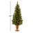Montclair Spruce Entrance Tree with Clear Lights-92439933