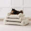 Cute Couch Bed For Pets, Supportive Cat Sofa For Indoor Cats, Small Dog Sofa Bed For Small Dogs-1837310841