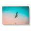 Soaring Seagulls In Abstract - Wrapped Canvas-55339041