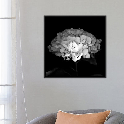 Hydrangea VI, B&W par Magda Indigo - estampe numérique sur toile tendue avec châssis