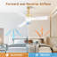 Ventilateur de plafond intelligent moderne à 3 pales de 54 po Whisper avec lumières DEL et télécommande Whisper-604553345