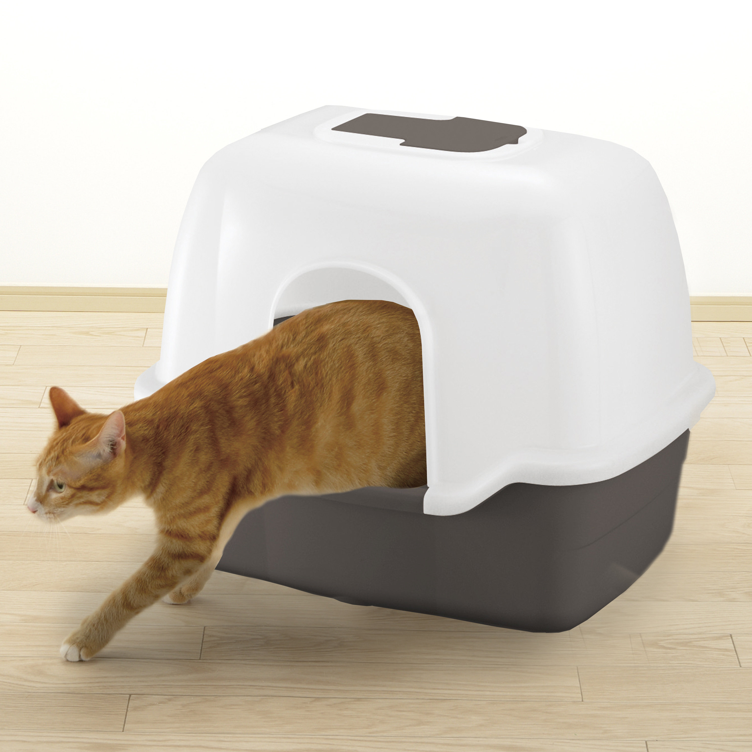 Richell Plastic Enclosed Litter Box with Scoop & Reviews | Wayfair