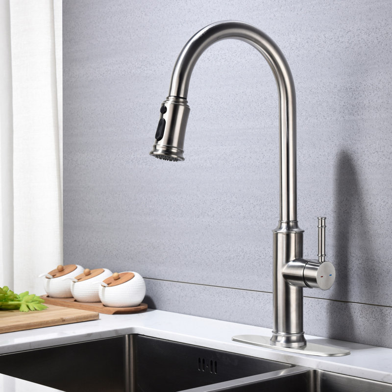 Kitchen Faucet With Pull Out Spraye