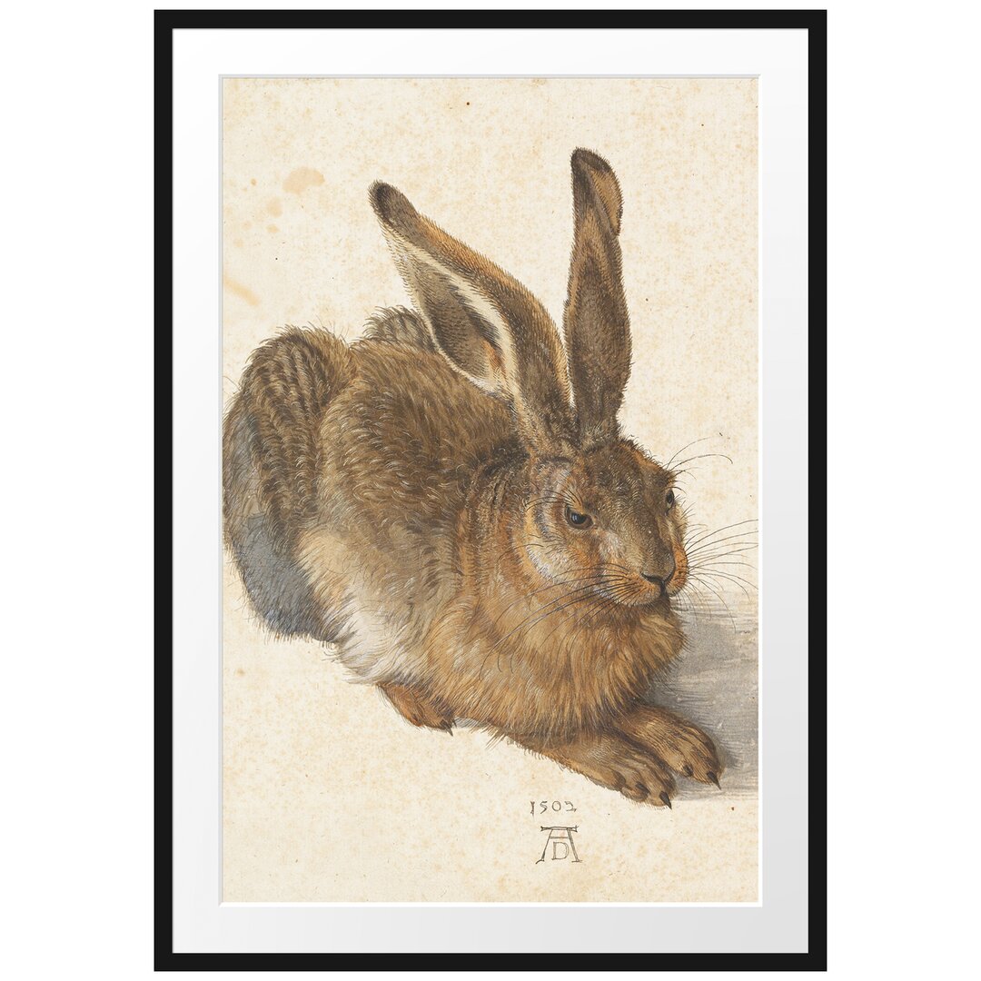 Gerahmter Grafikdruck European Hare von Albrecht Dürer