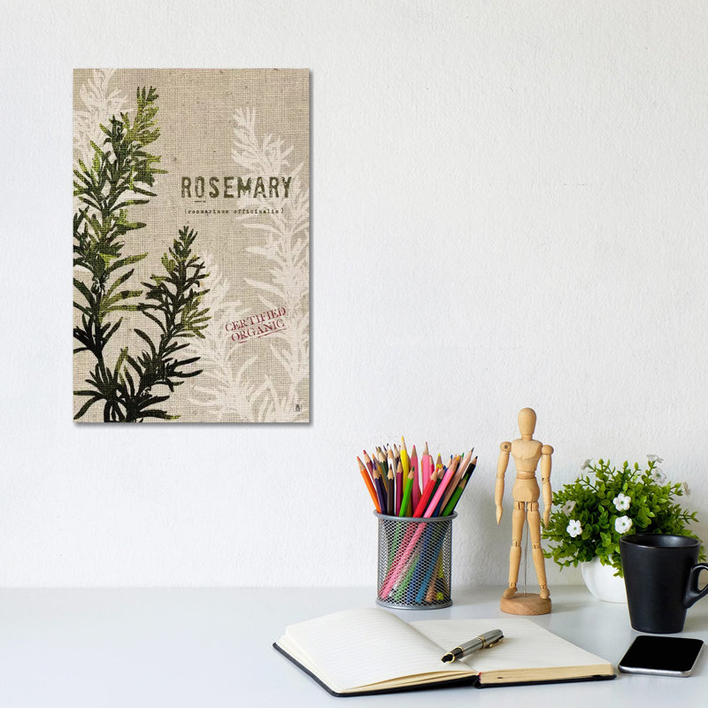 Organic Rosemary, No Butterfly by Studio Mousseau - Wrapped Canvas Gallery-Wrapped Canvas Giclée, 30.48cm H x 20.32cm W