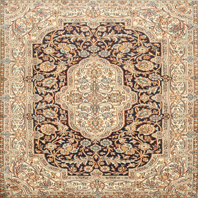 Oriental Indoor Rug