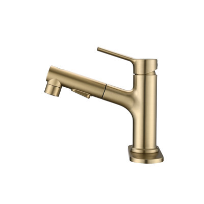 Robinet de lavabo de salle de bain à poignée simple en acier inoxydable avec douchette extractible