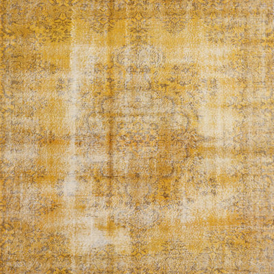 Akeba Oriental Indoor Rug