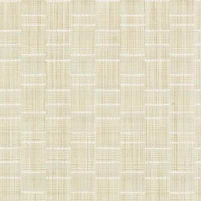 Bailey & Griffin Influences Mondrian Strie Fabric