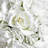  39.37In Artificial Ailk Flower for Party Wedding Decoration