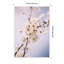«Nature White Floral Blooms» par Patricia Hasz de Patricia Rae, reproduction d'art sur toile encadrée-1586556150