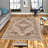Luxurious Woven Area Rug, 5.9 x 9.2 ft, 100% Polyester, Antibacterial | Non-Slip PVC Felt Dot Underside, 0.3 in Pile Height | Machine Washable, 3D Digital Print, Perfect for Living Room & Bedroom Décor-828592145