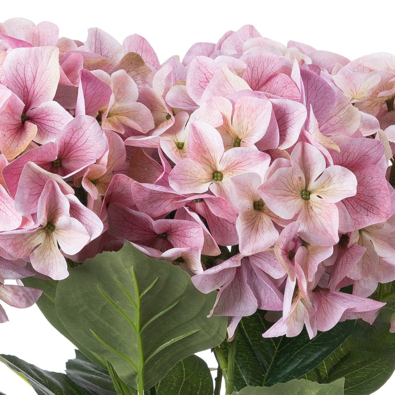 Hydrangea Arrangement, Pink