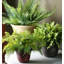 Ensemble de pots à fleurs en résine 3 pièces Knel-530300744-530300747