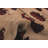 Isolde One-of-a-Kind 6'11" X 9'9" New Age Wool Area Rug in Tan
