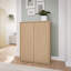 Chadwic 14 Pair Shoe Storage Cabinet-573457775