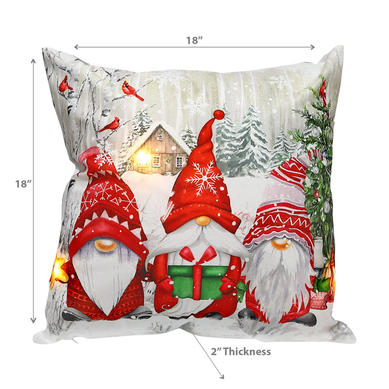 Coussin décoratif en velours