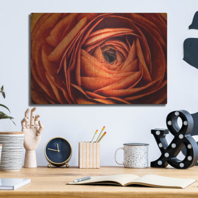 Mur en métal Ebern Designs «Ranonkel Oranje» par Rick Berk