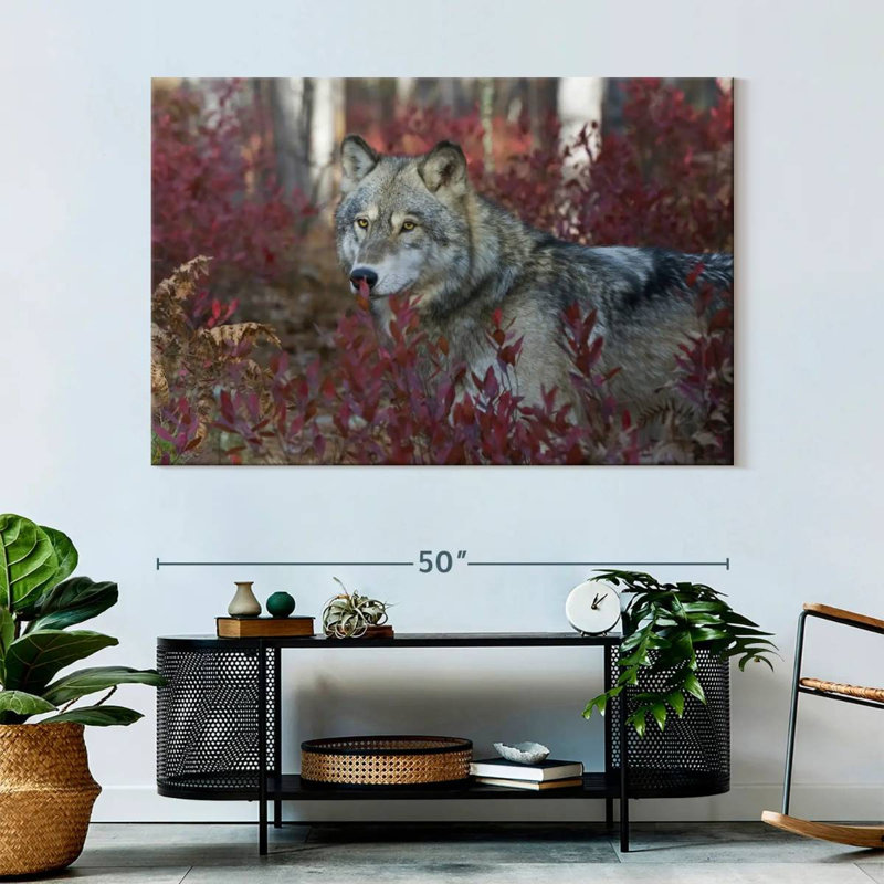 Brampt Gray Timber Wolf, 34" H x 51" W