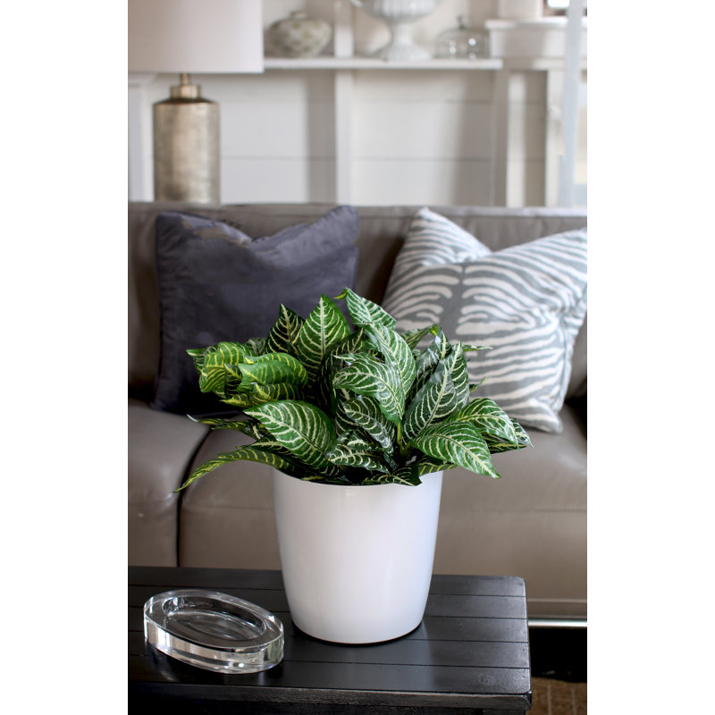 Aria Round Self Watering Planter, 12.07" H x 12" W x 12" D, Black