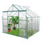 Serre en polycarbonate 8 x 8 pi pour l'extérieur, avec cadre, base galvanisée en toute saison, toutes les structures et plantes