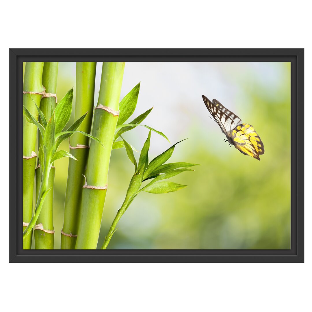 Gerahmtes Wandbild Bambus mit Schmetterling