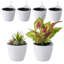 Ensemble de pots à fleurs suspendus en plastique 6 pièces Bernan