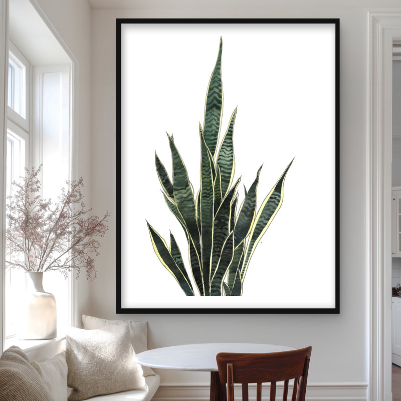 Snake Plant - Kitchen Botanical, H 48 po x l 36 po