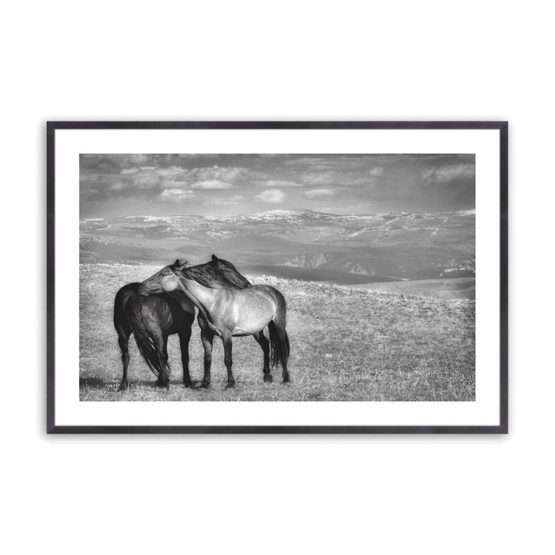 Free Spirits Set of 2 Prints in a Frame, 12.5" H x 29.5" W x 1.25" D, Weathered Zinc Framed