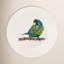 Calypso Porcelain Salad/Dessert Plate