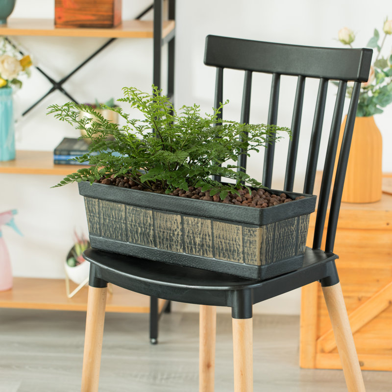 Boîte à fleurs en plastique Sesser, H 5,75 po x l 18,50 po x P 7 po