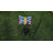 Brzozowski Weather Resistant Metal Insects Garden Stake