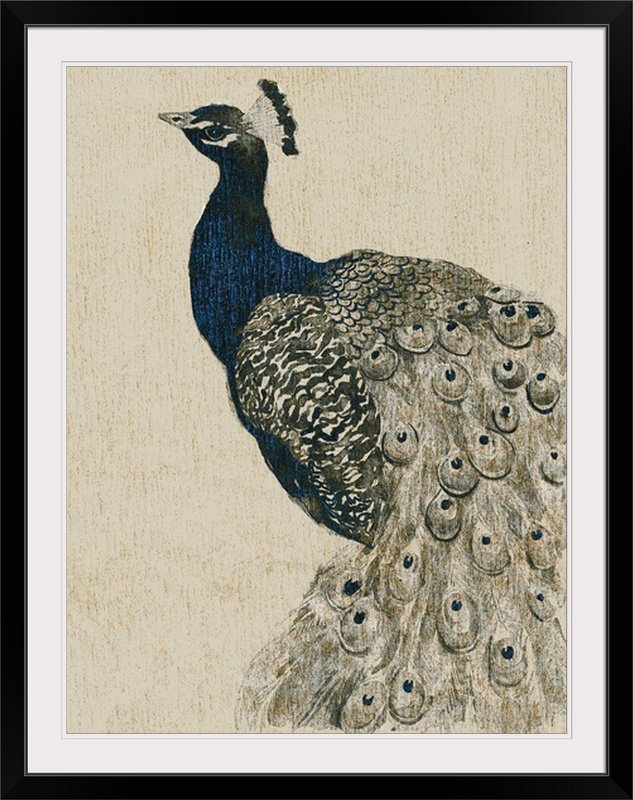« ii », reproduction d’art dépilée Textured Peacock, Cadre noir, H 32 po x l 26 po x P 1 po