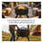 Cosmic 30" Outdoor Fire Pit with Grill Grate & Spark Screen - Black-520313771