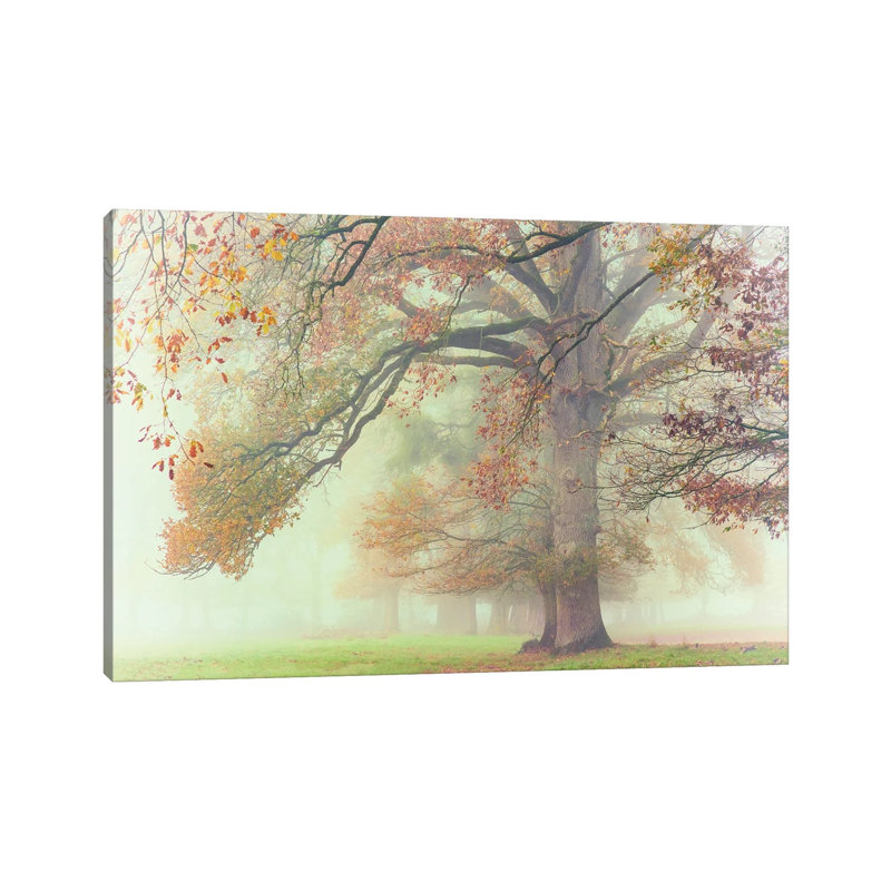 The Lonely Oak by Philippe Manguin - Wrapped Canvas Print, 66.04 cm H x 45.72 cm W x 1.91 cm D