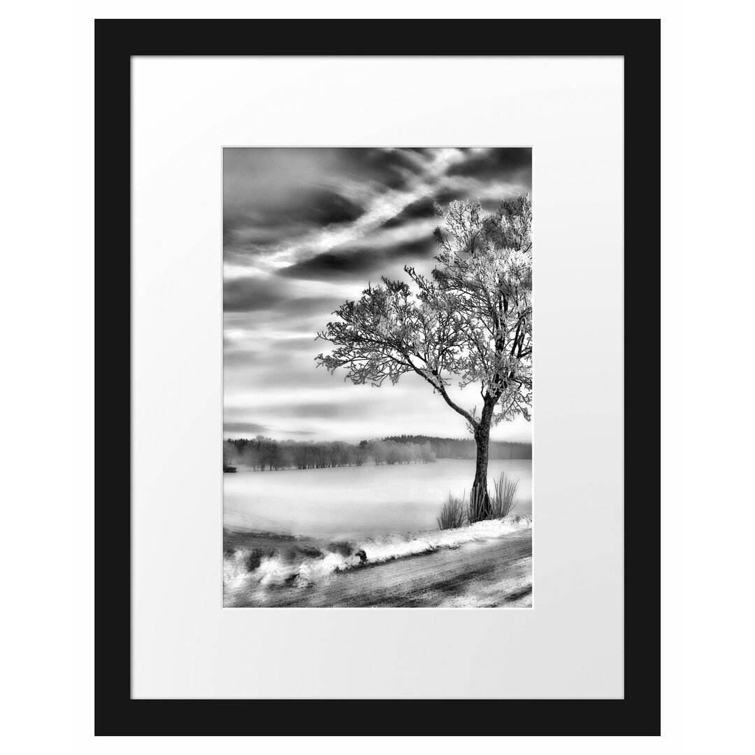 Gerahmtes Poster Baum im Schnee