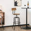 Lesse Swivel Adjustable Height Counter Stool