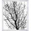 U Tree Painting