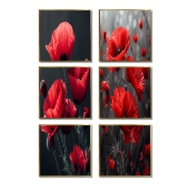Rouge, noir, coquelicots, charme monochrome - coquelicots, ensemble de 6 impressions sur toile, Gold