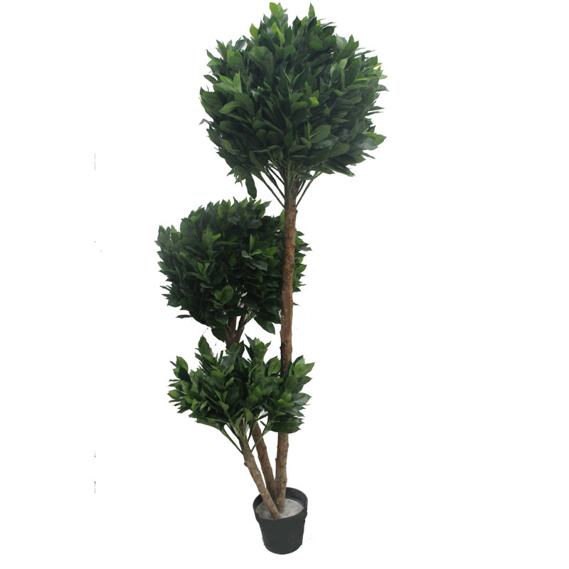 70.87'' Faux Boxwood Tree in Ceramic Pot