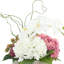 Centre de table moderne avec orchidées et hortensias-1337731341-1337731337