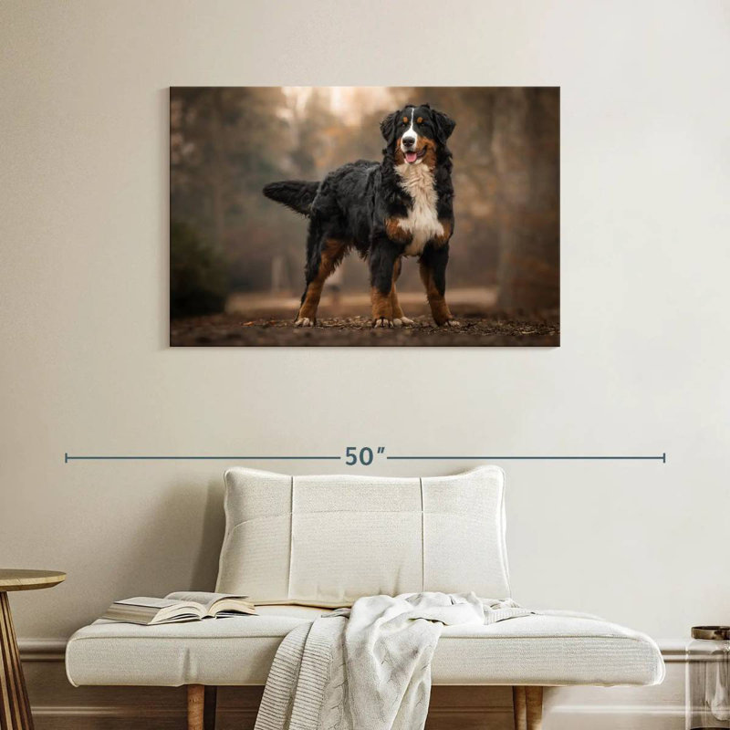 Brampt Bernese Mountain Dog, 26" H x 39" W