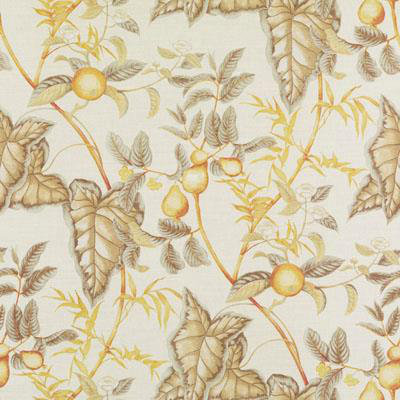 From the Archives Puccini Fabric, Natural/Gold