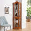 Armoire d'angle, porte en verre et chêne, avec portes et tablettes en verre trempé - rangement élégant